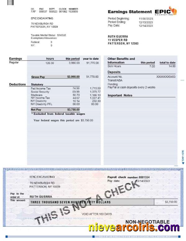 EPIC EXCAVATING earnings statement